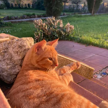 בית נופש Le De Migou *