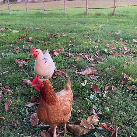 Le De Migou בית נופש *