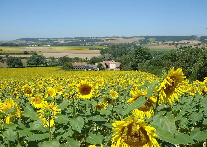 Vakantiehuis Le De Migou