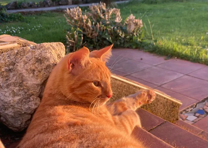 Vakantiehuis Le De Migou *