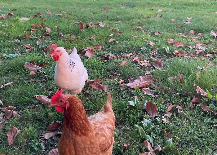 Le De Migou Vakantiehuis *